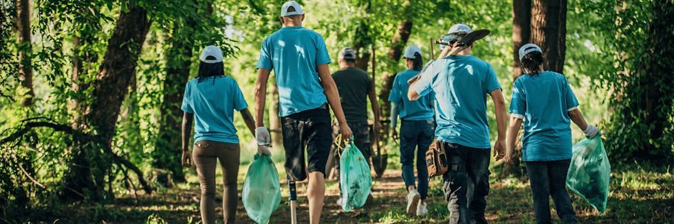 Volunteering Programs