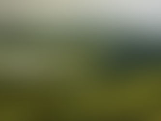 Eco-Friendly Projects by Marpu Foundation for Sustainable Development in India