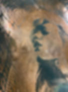 IMG_1027.jpeg