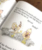 'Sally' by Greg Stelzer, illustrated by Mel Barren