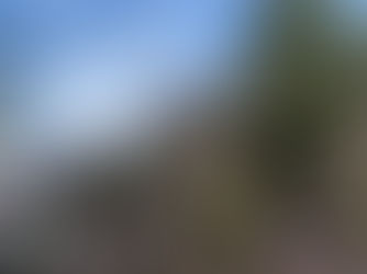 LOGRA obtener tu amor PROPIO. XO!