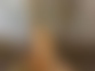 Wintervorbereitung: Dem Biber auf der Spur 