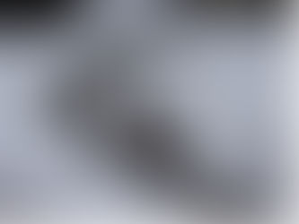 Wildtiere brauchen Ruhe, besonders jetzt im Winter