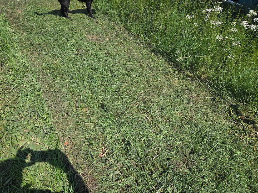 Thumbnail: 6ft Fail mower