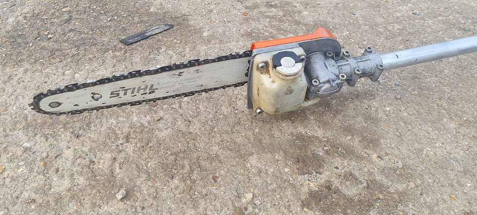 Thumbnail: Sthil HT 101 pole saw