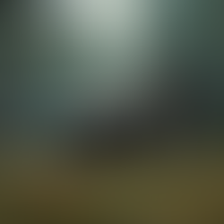 Exploring the Legend of Davy Crockett: Origins, History, and Evolution of a Folk Hero