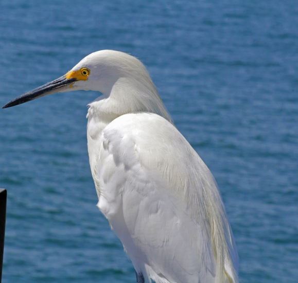 33a91c33-bbf0-4a26-aebb-d6992a24934f