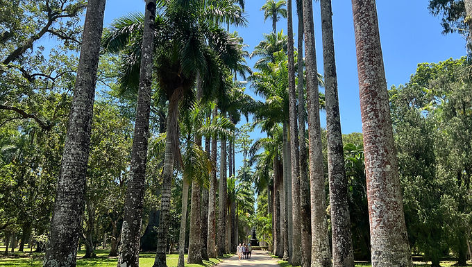 Botanical Gardens
