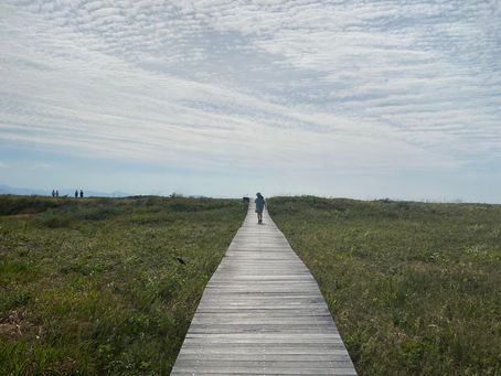 わかるということ
