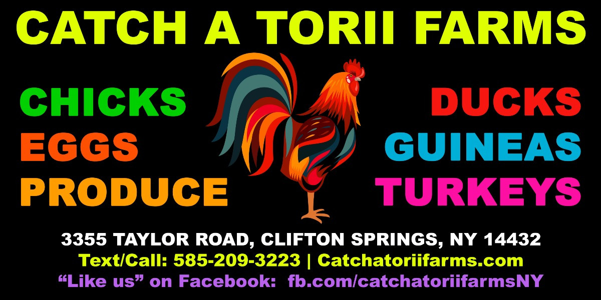 Catch a Torii Farms