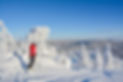 shutterstock_480050491.jpg
