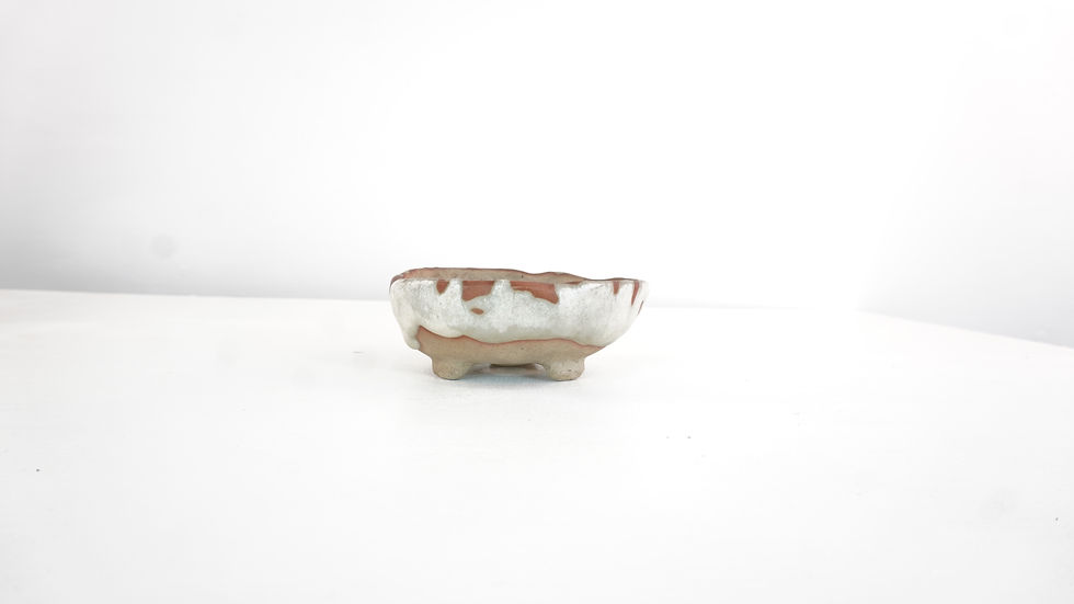 Miniatura: Vaso tondo 11 cm
