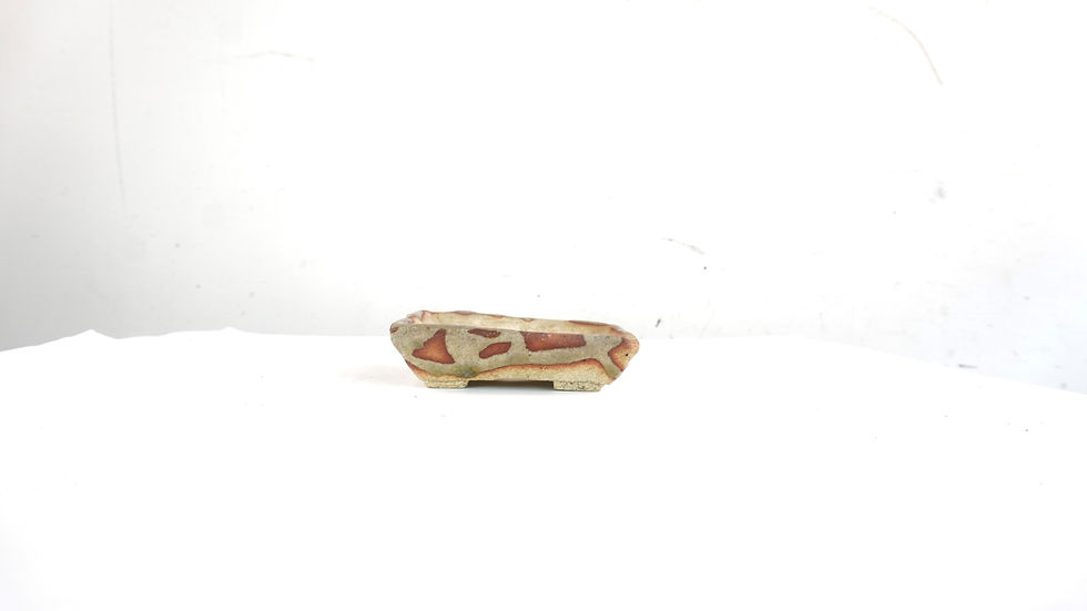 Miniatura: Vaso quadrato 11x11