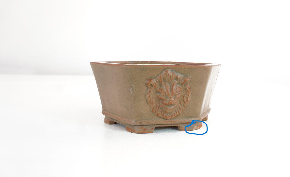 Miniatura: Vaso esagonale 11cm