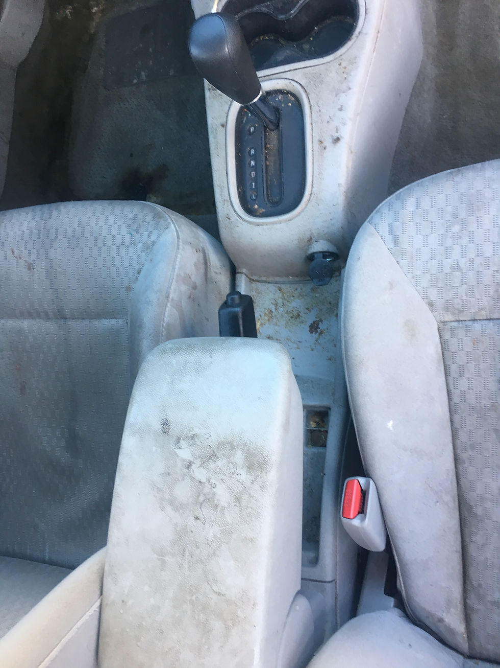 Thumbnail: $80.00 Off Two (2) Interior Details: July '26 Bookings (Central NY)