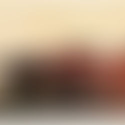 Shelby Mustang: A Look at the History of the Classic Ford Muscle Car