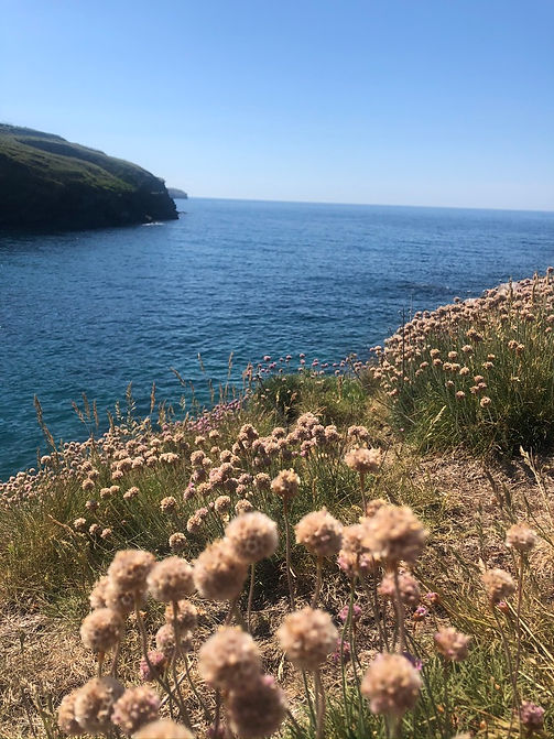 cornwall.jpeg