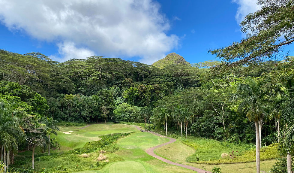 unnamed (3)_edited.jpg