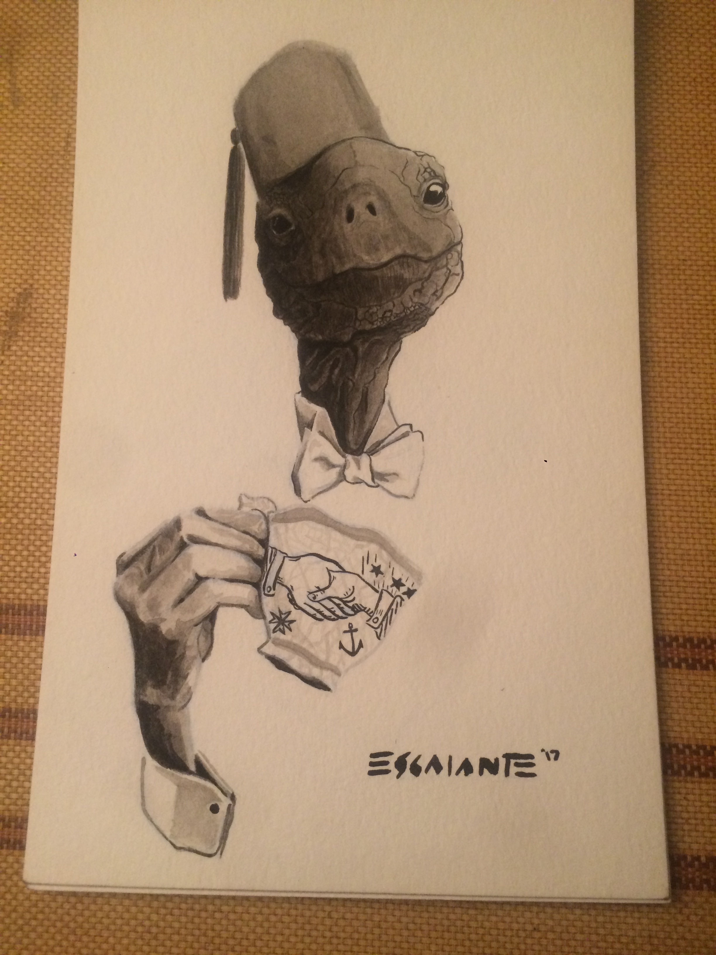 Tea Time Tortoise (Original)