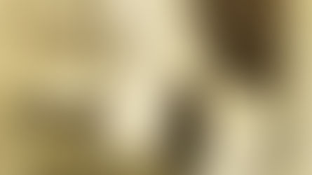 ジジ・ペドロ―リ