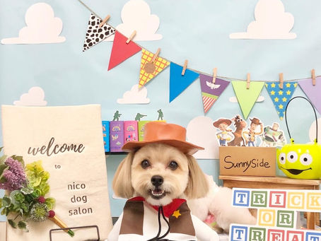 トリミングわんこ