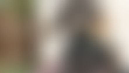 トリミングわんこ