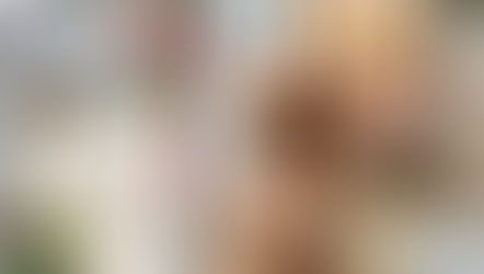 トリミングわんこ