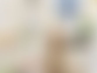 トリミングわんこ