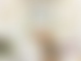 トリミングわんこ