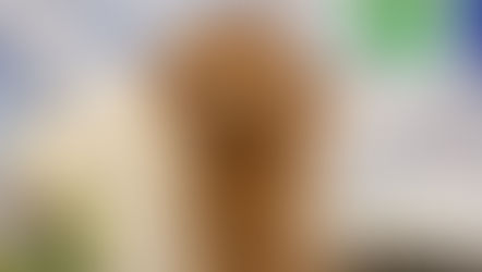 トリミングわんこ