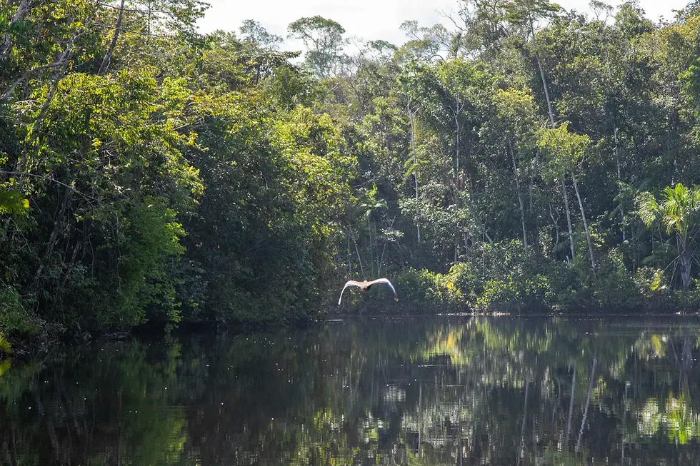 Prazo prorrogado! Seleção de soluções sustentáveis vai até 7 de outubro
