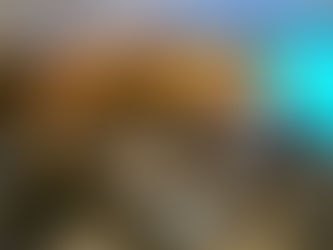 FIEPA sedia Festival de Impacto e debate negócios sustentáveis