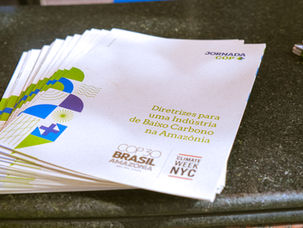 Após COP 30, indústria do Pará avança na agenda de sustentabilidade