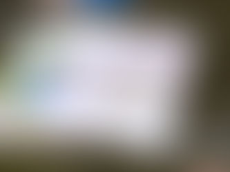 Após COP 30, indústria do Pará avança na agenda de sustentabilidade