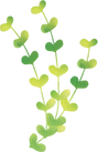 719.png