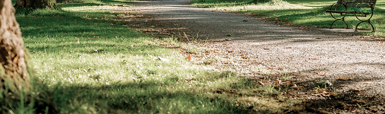 Tree Lined Path_edited.png