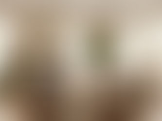 A Floridian living room in light colors is decorated for the Christmas season, with roller shades on the windows to reduce glare - vu window treatments, FL