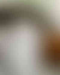 Shoppe Amber Interiors