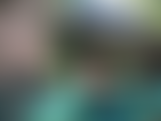 Setor de turismo aposta em rotas de ecoturismo no Brasil