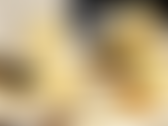 Queijos Artesanais Brasileiros Conquistam Medalhas em Concurso Internacional na França