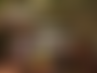 Festival Gastronômico de Trancoso Celebra Sabores Locais e Sustentabilidade