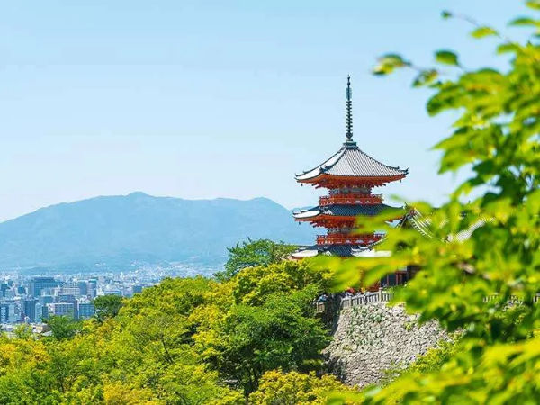 Kiyomizu-dera, em Kyoto, é aquele templo que parece ter saído de um filme! Famoso pelo terraço de madeira suspenso, oferece vistas incríveis da cidade e das cerejeiras ou folhas de outono. (Foto de David Emrich na Unsplash)