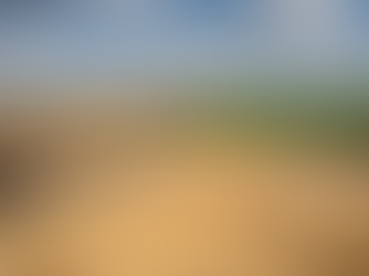 Exportações de soja devem atingir recorde em 2025, puxadas pela China