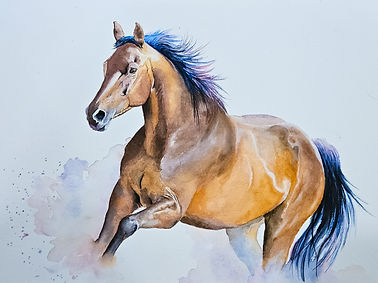 20240615_152232 (1).jpg