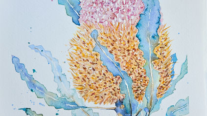 native australian banksia watercolour painting