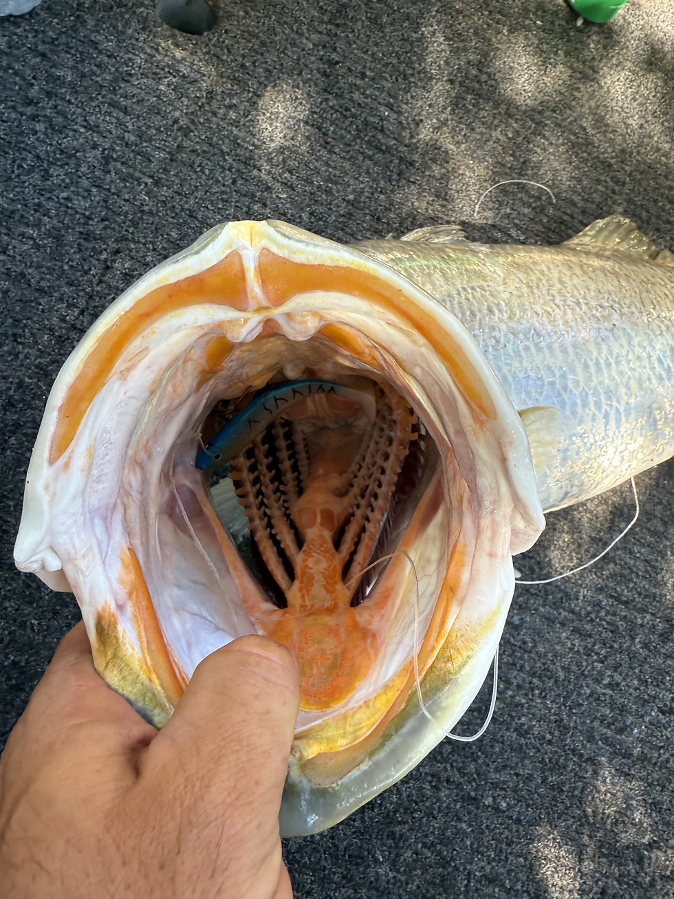5 Reasons to Book a Private Fishing Charter