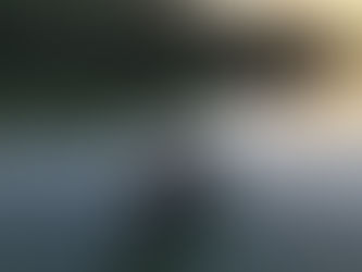 Why We Catch & Release