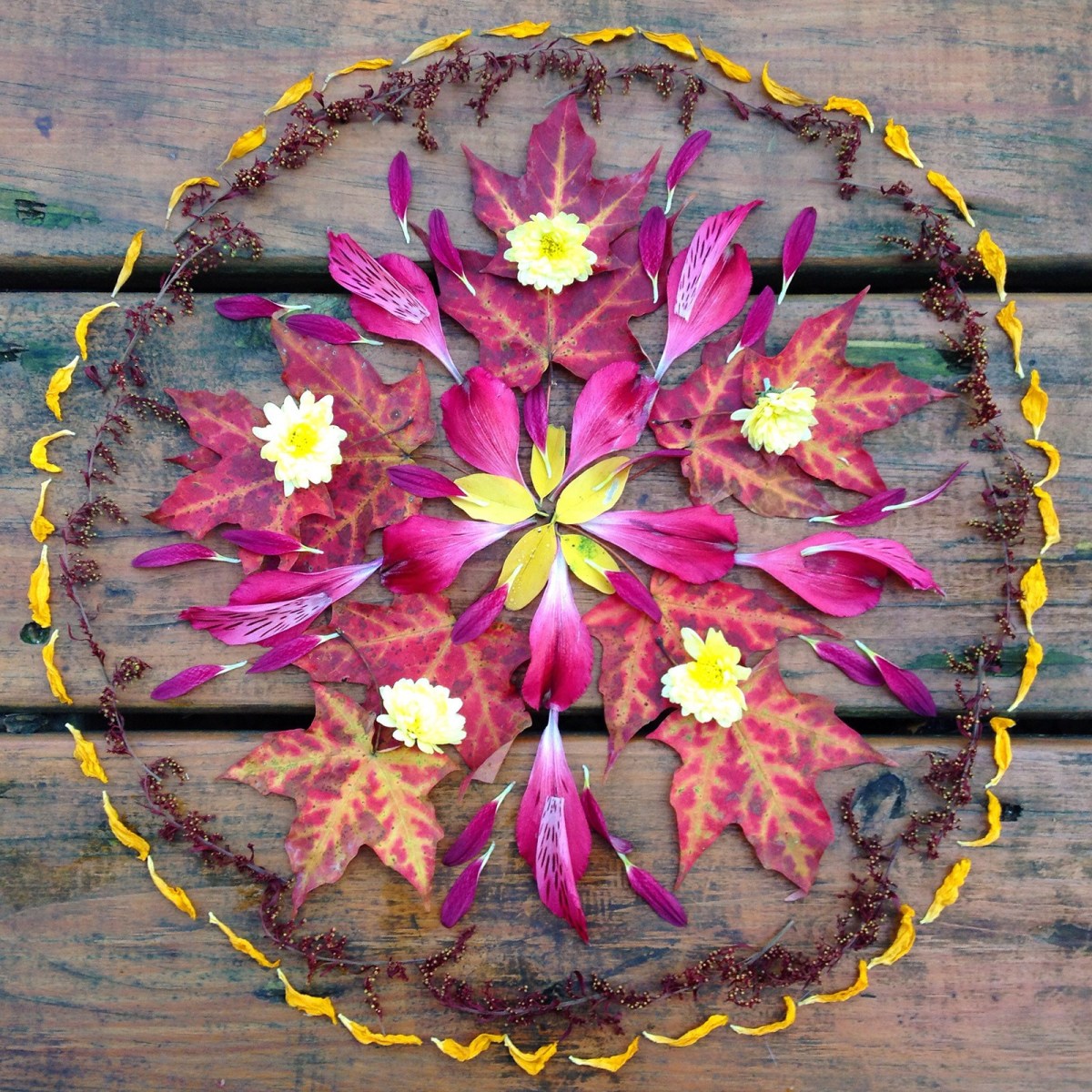 Circle Mandala for Kids