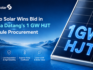 Dinto Solar Wins Bid in China Datang’s 1 GW HJT Module Procurement