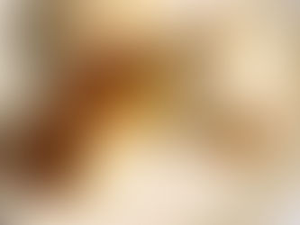 Baozi-fied ( Chinese steamed pork buns )